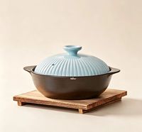 Casserole en céramique moderne résistante aux hautes températures, pot en argile anti-fissuration et anti-cuisson à sec