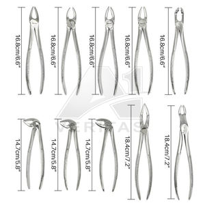 Meilleure qualité personnalisée A-1 VERITAS Instruments de chirurgie dentaire Dentistes manuel extraction de dents Forceps Adultes ISO 13485 CE - Product Image 3