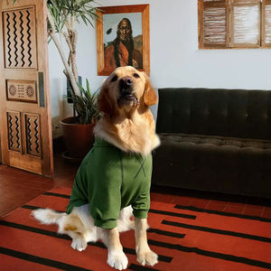 Sweatshirts à capuche pour chien d'hiver avec poches, coton chaud, léger, vêtements modernes pour petit chien, style unique, nouveau design - Product Image 5