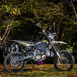 Motocicleta Eléctrica Todoterreno FAST 2025 Light Bee X, Sin Escobillas, 8000W, 60V, 40Ah, 75Km/h, 250N.m, ¡EN OFERTA! - Product Image 1