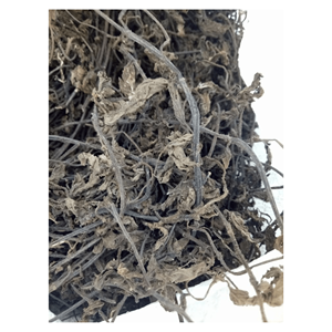 Dessert en gelée d'herbe noire vietnamienne le plus vendu // produit frais et à mâcher de meilleure qualité pour la vente en gros - Product Image 2