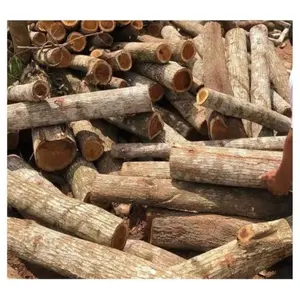 Harga untuk kayu akasia log harga langsung dari Vietnam harga pabrik untuk kayu bulat akasia