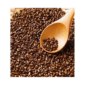 เมล็ด Cassia Tora ธรรมชาติ 100% คุณภาพสูงผลิตในราคาขายส่ง - Product Image 6