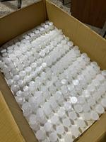 7ml 6 Kompartemen Wadah Penyimpanan Cat Mini Transparan Plastik PP Berkualitas Tinggi Alat Seniman Perlengkapan Seni Kerajinan DIY Dikemas dalam Kotak