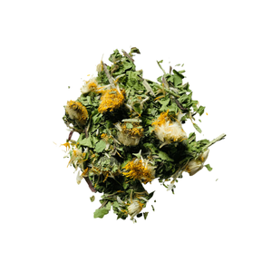 FOURNITURE D'USINE HERBES FEUILLES DE PISSENLIT FEUILLES DE THÉ NATURELLES DE PISSENLIT EN LIGNE - Product Image 5