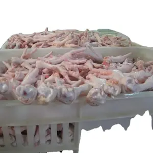 Poulet entier congelé Halah de qualité supérieure du Brésil/Thaïlande Pieds de poulet congelés Halah à vendre aux prix de gros