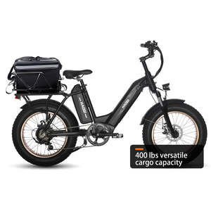 Vélo électrique cargo HAOQI Antelope Pro 750W à double batterie (certifié) - Product Image 4