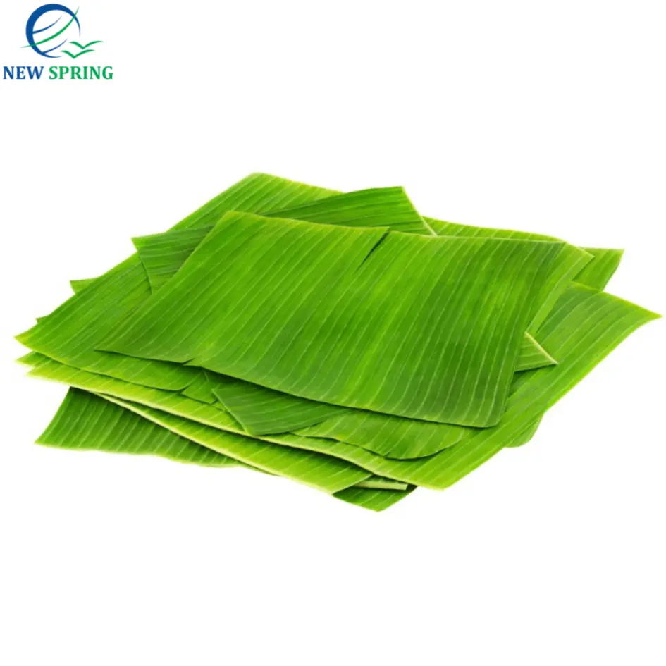 신선한 바나나 잎 100% 자연 높은 품질 포장 식품 Ecofriendly 수출 Stanrd 베트남