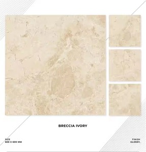 Fabricante y venta al por mayor de baldosas de porcelana pulida de cristal 60x60 para aplicación interior directa de la India - Product Image 1