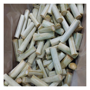 Canne à sucre congelée du Vietnam, produit d'approvisionnement fiable pour les transformateurs de boissons recherchant une qualité stable et une coopération à long terme - Product Image 1