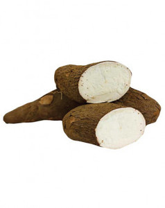 Livraison rapide, légumes de manioc frais biologiques en provenance de France à bas prix, en stock, prêt à acheter, meilleur prix, vente en gros - Product Image 6