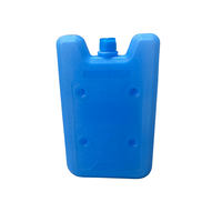 Bloc de glace réutilisable en plastique de qualité alimentaire bleu de 500 ml moulé par soufflage personnalisé au Vietnam