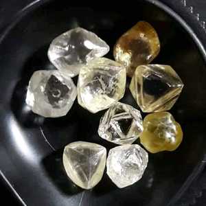 Diamants bruts naturels d'origine sud-africaine authentiques à vendre - Product Image 6
