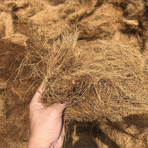 Fibra de Coco de Exportación de Ben Tre, Vietnam - Mejor Precio para Uso Industrial y Agrícola - Product Image 3