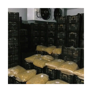 Wholesale Bulk Frozen Passion Fruit Supplier Vietnam | Cheap Price IQF Pulp in 1kg 2kg 5kg <b>Bags</b> for Food Companies - Product Image 5