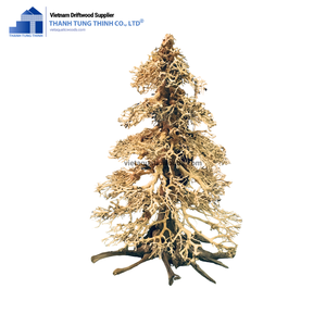 Hot Trend Miniaturización bonsai Driftwood para Hobby coleccionable Hecho en Vietnam - Product Image 2