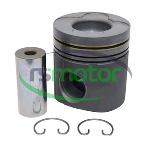 Meilleure vente de pièces OEM Piston multifonctionnel MWM RS-13243776 - Product Image 1