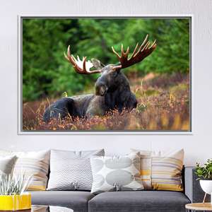 Arte de Pared en Lienzo con Diseño de Alce Rústico: Decoración Impresa para Cabaña y Sala de Caza, Lienzo con Marco Blanco - Product Image 1