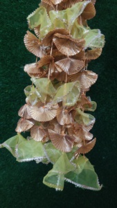 Tissu filet vibrant gland coloré avec fleur Gota décoration indienne mariage Haldi Diwali Eid décors chaîne décoration de fête - Product Image 5