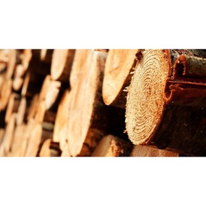 Madera de madera dura de alta resistencia, madera de primera calidad para proyectos de construcción de servicio pesado - Product Image 1