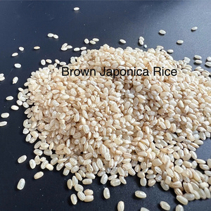 ข้าวหอมมะลิญี่ปุ่นคุณภาพสูง เมล็ดสั้น กลิ่นหอม เนื้อเหนียว ใหม่ สด แห้ง ได้รับการรับรองมาตรฐาน HACCP ISO ปลอดจีเอ็มโอ บรรจุภัณฑ์แบบ OEM 500 กรัม - Product Image 1