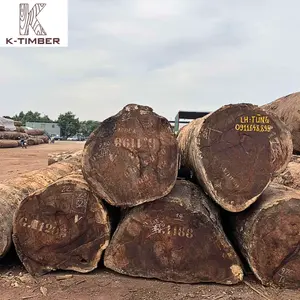Legno naturale tronchi di legno materie prime africano di quercia legno Pachyloba segherie/tronchi rotondi all'ingrosso Angola costruzione piano edificio
