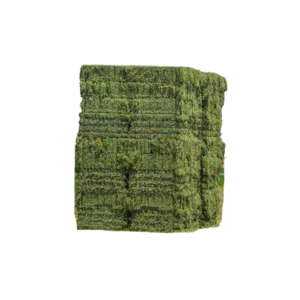 Cubos de alfalfa comprimidos totalmente naturales Una alternativa rica en fibra y proteínas al heno tradicional Alfalfa suave y fácil de alimentar - Product Image 4