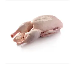 IQF – tranche de canard entier désossé/sac de canard de pékin entier glacé, emballage OEM biologique
