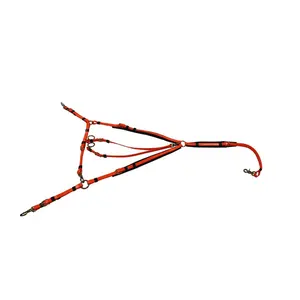 Plato colorido de Pvc para caballos y Martingale, con accesorios de latón y relleno de espuma, proveedor de placa - Product Image 1