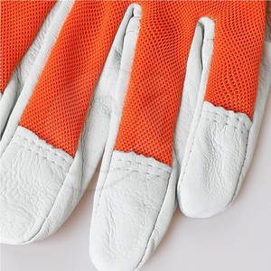 ถุงมือประกอบโลโก้ออกแบบได้ตามต้องการถุงมือประกอบอเนกประสงค์ - Product Image 5