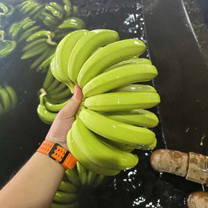Cavendish Banana exportador, suministro fiable para supermercados y distribuidores de Oriente Medio - Product Image 1
