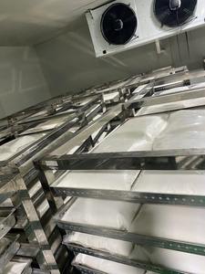 2025 Leche de coco natural IQF Congelada Agua de alta calidad Conservada Envasado al vacío Envasado a granel Hecho en Vietnam Precio barato - Product Image 4