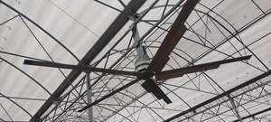 Cowair HVLS Smart Fan 500 L Ventilateur de plafond de grand diamètre pour fermes animales - Product Image 3