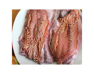 Frozen 100% Pure Healthy Beef Lips Carne de res congelada y búfalo a precio barato para la venta - Product Image 1