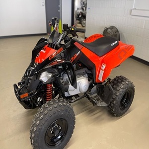 Hiçbir kaza veya kir <span class=keywords><strong>2025</strong></span> CAn-amM DS250 dört tekerlekli satılık - Product Image 2