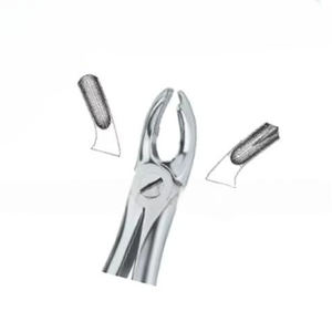 Forceps d'extraction de dents Fig.18 Diam Produits de logo personnalisé de haute qualité Instruments dentaires en acier inoxydable de haute qualité - Product Image 6