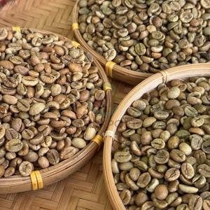 เมล็ดกาแฟโรบัสต้าเวียดนาม S13 5% กาแฟดิบ พรีเมียม ขายส่งจำนวนมาก ผู้จัดจำหน่ายกาแฟที่มีรสชาติเข้มข้นและคาเฟอีนสูง - Product Image 4