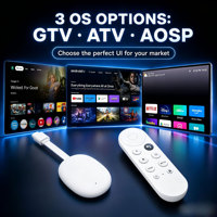 Smart TV Stick Q20 Android 12.0 H618 2G 16G 4K WIFI6 BT 5.0 1 Stück MOQ Benutzerdefinierte UI DIY UI CMS App Push-System Integration OEM-Fabrik