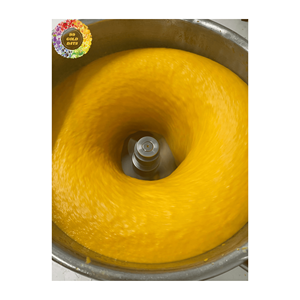 Mangue congelée de qualité supérieure du Vietnam, mangue congelée en tranches, mangue congelée en morceaux, parfaite pour les smoothies, les desserts, les marchés d'exportation - Product Image 6