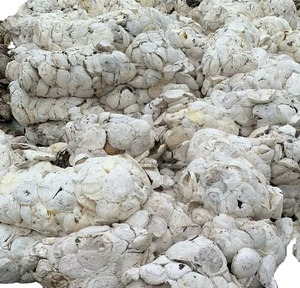 Vente en gros de latex NBR liquide blanc de haute qualité / latex de caoutchouc nitrile-butadiène / granulés de latex à prix avantageux - Product Image 1