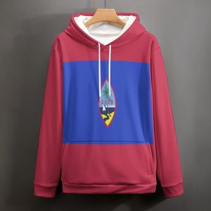 Sudadera con capucha bordada de algodón 100% de alta calidad para hombre, ropa de calle personalizable, jersey de peso pesado personalizado - Product Image 3