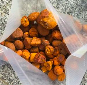 High Quality Cattle Bezoar Gallstones Wholesale Supply Best Market Price Animal <b>Extract</b> Product - Product Image 1