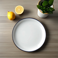 Plateau de service artisanal en métal laqué blanc brillant minimaliste WB INC INDIA, couleur personnalisée pour une utilisation décorative à la table