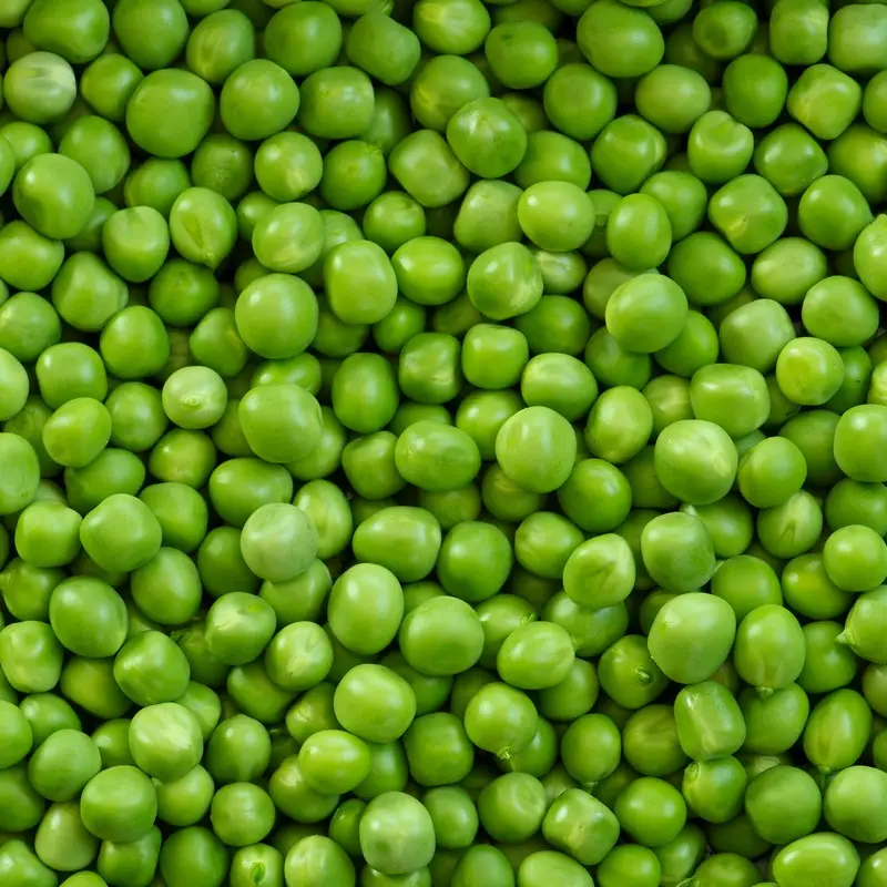 High Quality Made In Italy La Romanella Peas in cans Easy-open tins 24x400g Steamed Processing For Export