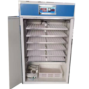 Incubateur automatique industriel de grande capacité (2000 œufs) pour poulets et canards, utilisé dans les élevages - Product Image 5