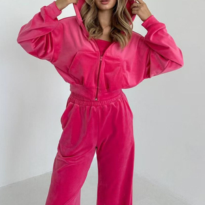 Custom Your Own Design Women's Set Casual Long Sleeve Loose Zipper Hoodie Blank Velvet Pants Two Piece Set for Women Sets - Product Image 2