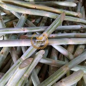 Jus de canne à sucre biologique surgelé IQF, best-seller du Vietnam, prix avantageux - Product Image 1