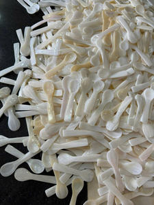 Cuchara de concha natural de diseño de concha de Vietnam con acabado pulido para comedor artístico y vajilla artesanal con buena oferta - Product Image 2