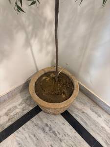 Jardinières en pierre antique réglables en hauteur pour salon et extérieur - Product Image 5