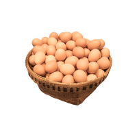 Œufs frais de poule de qualité supérieure en grande quantité pour une livraison rapide et une approvisionnement continu